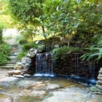Mindfulness Exercise on Lessons From Nature