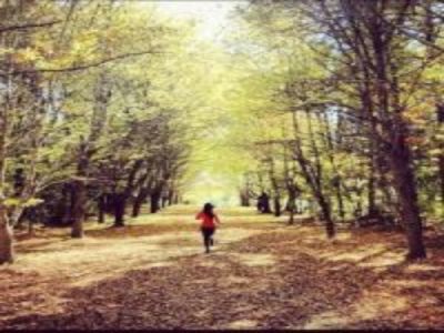 Lesson from Nature, Energizing Your Body