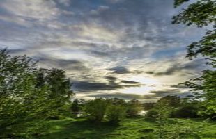 Lesson from Nature, Pain Relief