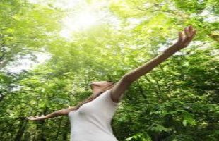 Lesson from Nature, Soulmate Attraction