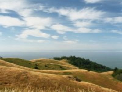 Lesson from Nature, Allergy and Sinus Relief