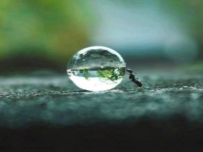 Mindfulness exercise