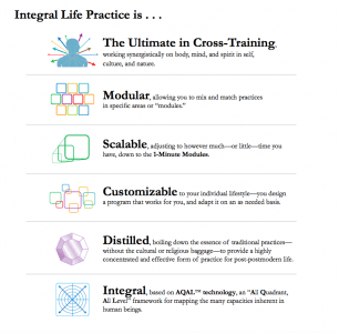 integral life practice, Integral Life Practice