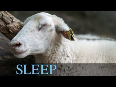 9 Hours Sleep Music