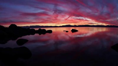 Mindful Living by Mark Coleman