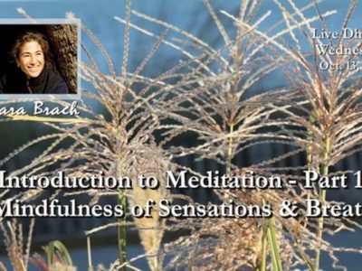 Mindfulness of Sensations and Breath