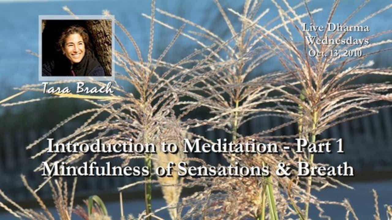 Mindfulness of Sensations and Breath