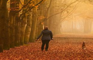 Mindfulness of walking