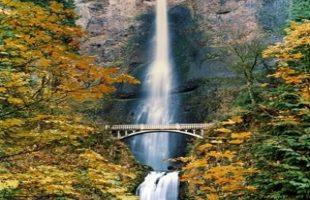 mindfulness exercises guided meditation 14