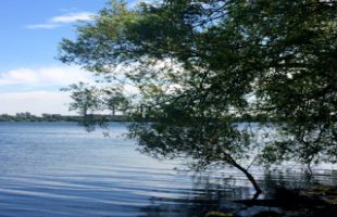 mindfulness exercises guided meditation on emotions