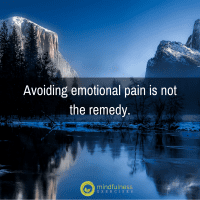 Avoiding emotional pain is not the remedy.