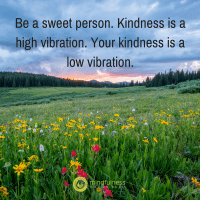 Be a sweet person. Kindness is a high vibration. Your kindness is a low vibration.