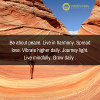 Be about peace. Live in harmony. Spread love. Vibrate higher daily. Journey light. Live mindfully. Grow daily .