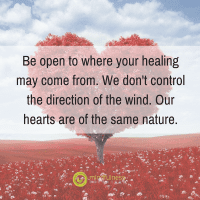 Be open to where your healing may come from. We don't control the direction of the wind. Our hearts are of the same nature.