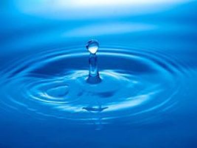 Calming our Scattered Minds