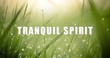 Tranquil Spirit Spiritual Sleep Music Calming Soft Music