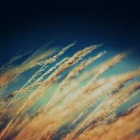 impermanence as uncertainty