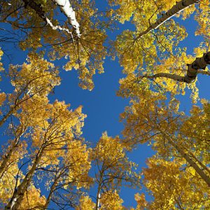 Nature of Awareness