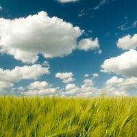 Nature of Awareness
