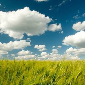 Nature of Awareness