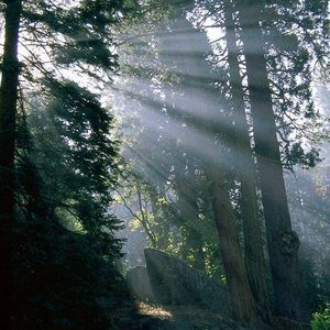 Mindfulness meditation