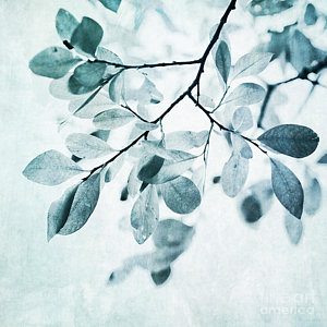 karma and intention, boredom