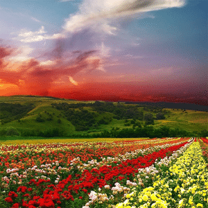 Nature of Awareness