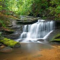 Mindfulness for holiday stress, generosity, surrendering to life