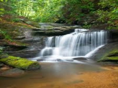 Mindfulness for holiday stress, generosity, surrendering to life