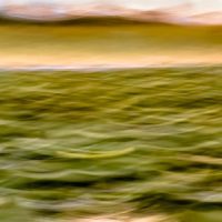 Mindfulness for holiday stress