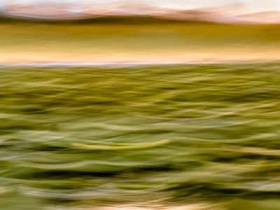 Mindfulness for holiday stress