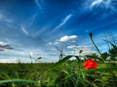 Mindfulness for holiday stress
