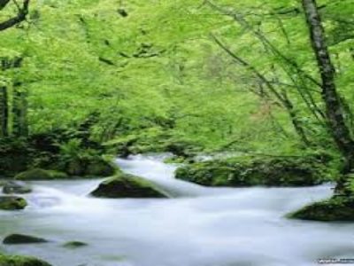 Mindfulness for holiday stress