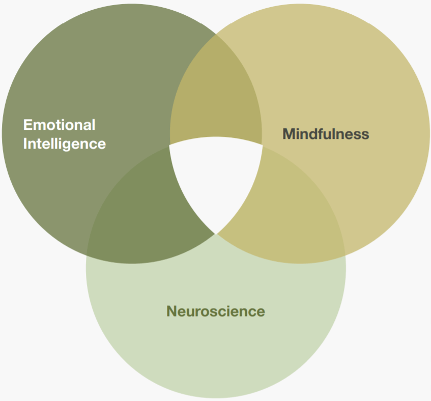 mindfulness workshops