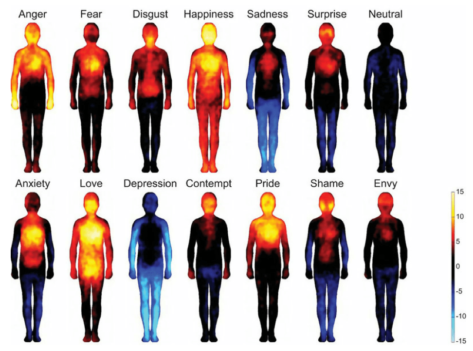 Body Mapping of Emotions