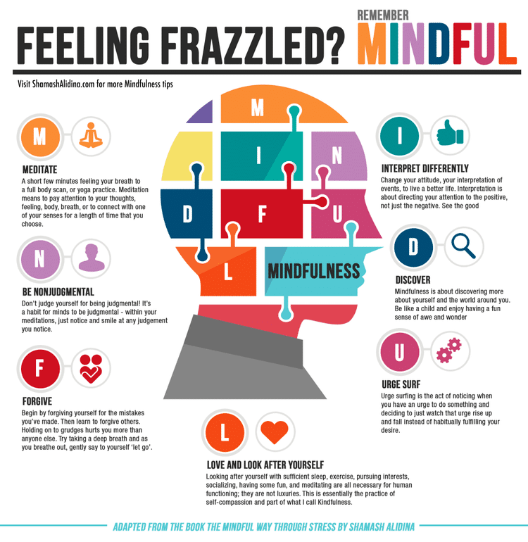 Free Mindfulness For Beginners Guides & Journal - Feeling Frazzled?