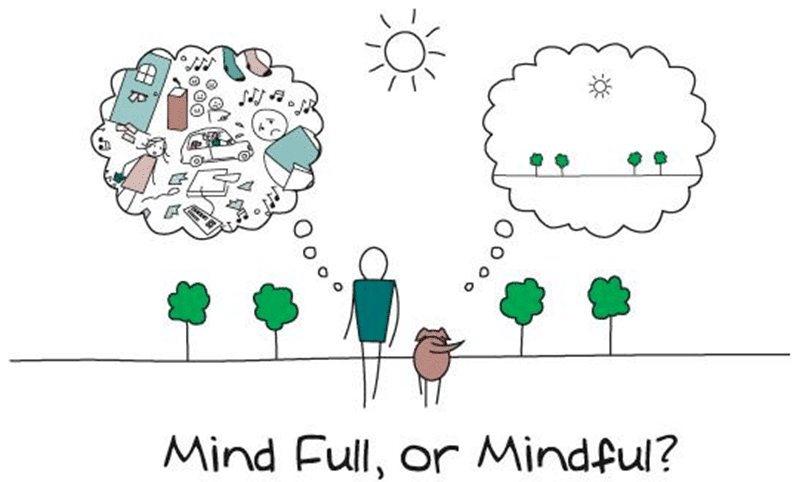 Mindfulness For Beginners - Mind Full, or Mindful?