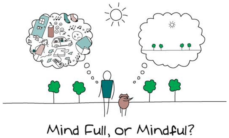Mindfulness Of Your Blind Spots - Mind Full, or Mindful?