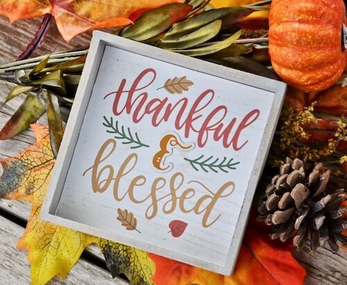1. Gratitude and Generosity – with Tara Brach