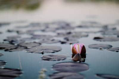 The Rhythm Of The Breath Flowing Through The Body