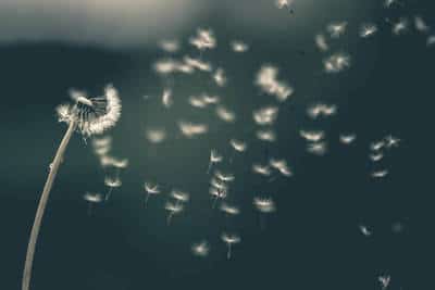 Three Mindful Breaths