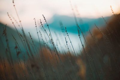 Using RAIN for Difficult Emotions and Thoughts
