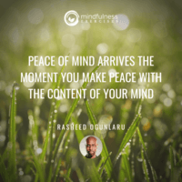 Peace of Mind Rasheed Ogunlaru Mindfulness Exercises