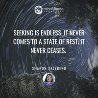 Seeking Is Endless Sharon Salzberg Inspirational Mindfulness Quotes