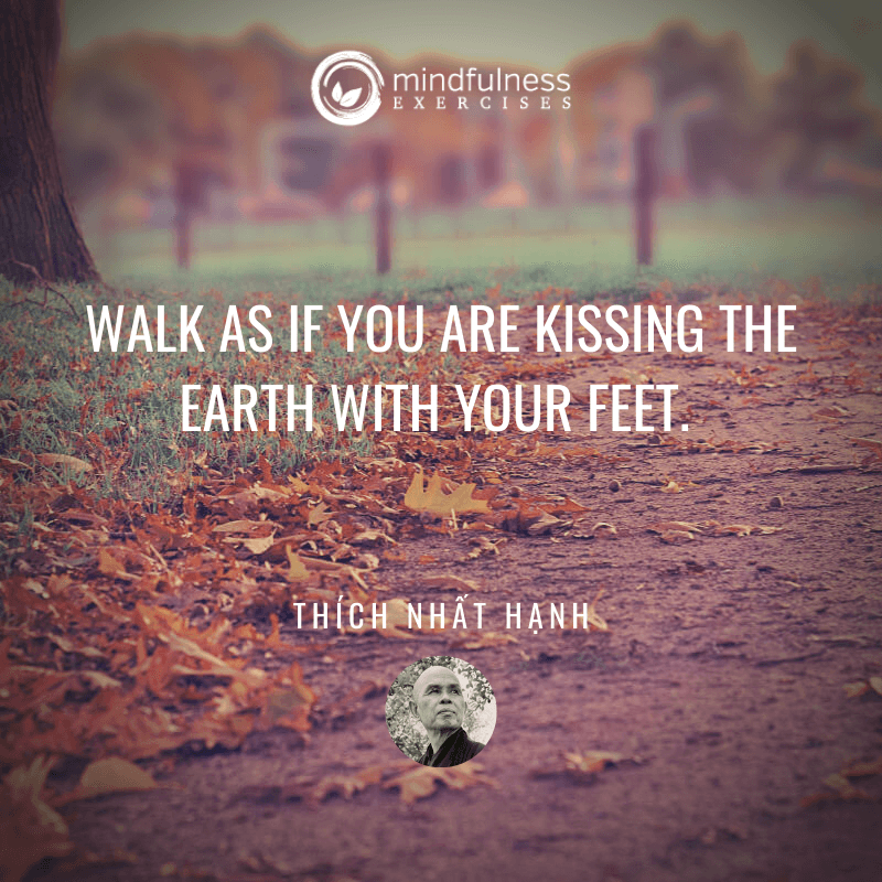 Walk As If You Are Kissing The Earth Thich Nhat Hanh