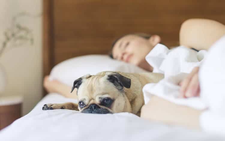 6 Ways to Use Mindfulness to Sleep Better
