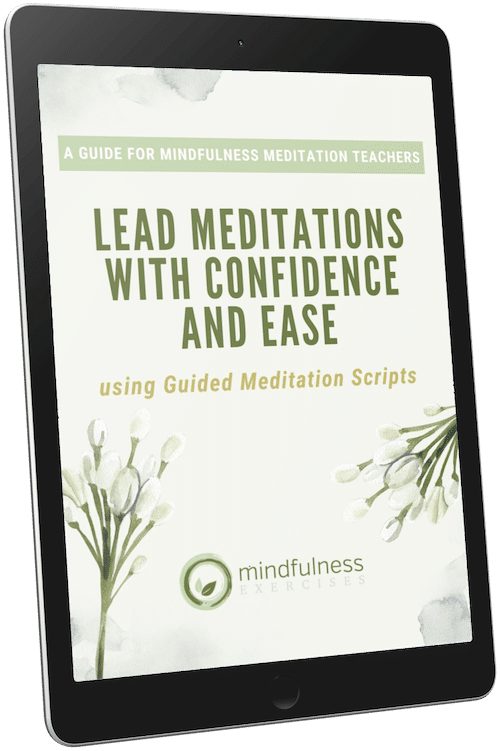 , Guide for Mindfulness Meditation Teachers