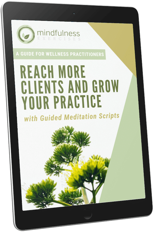 , A Guide for Wellness Practitioners
