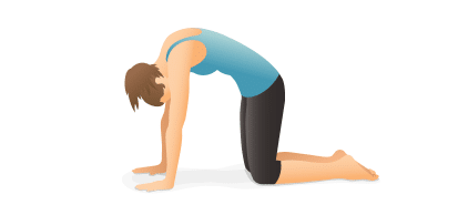 , Morning Yoga Stretches | Wake Up &#038; Feel Great