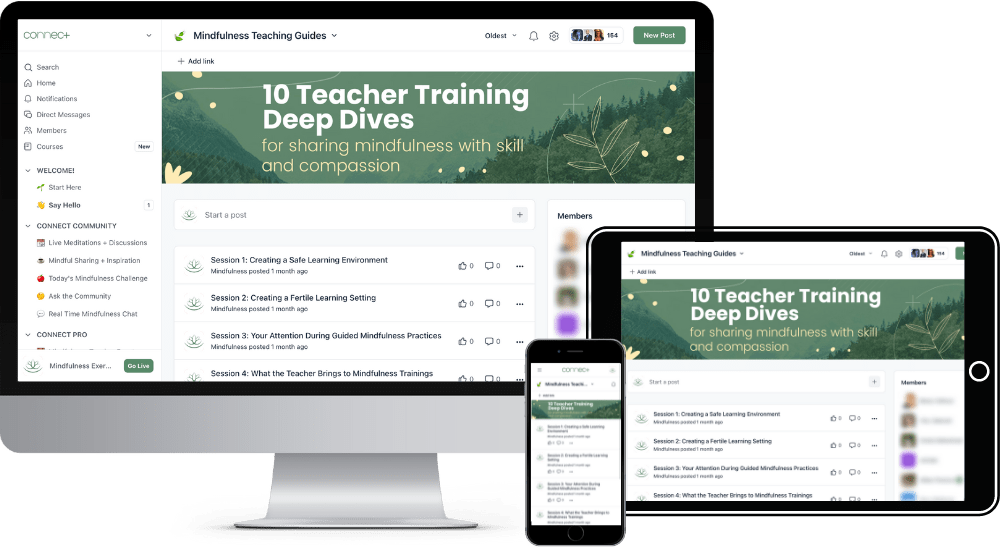 Mindful Teaching Guides & Courses